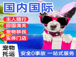 河东机场邮寄国际宠物托运 【国